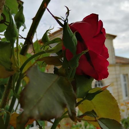 Отель Domaine Du Chauvet Sainte-Eulalie  Экстерьер фото